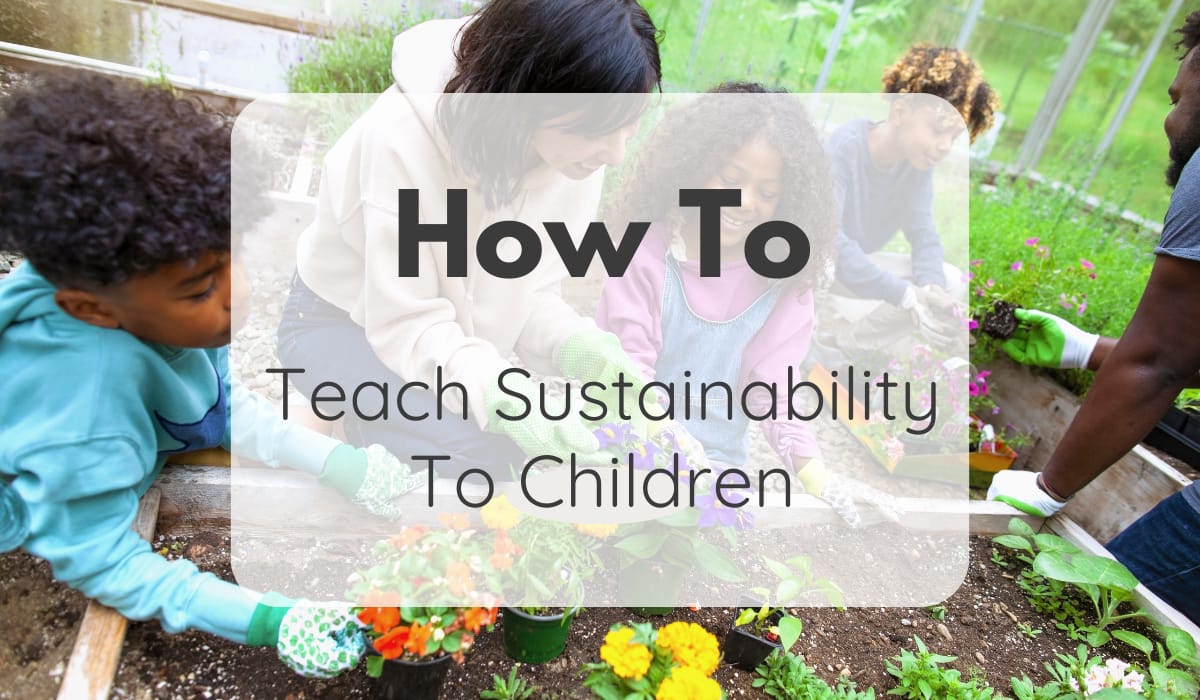 Teach Sustainability