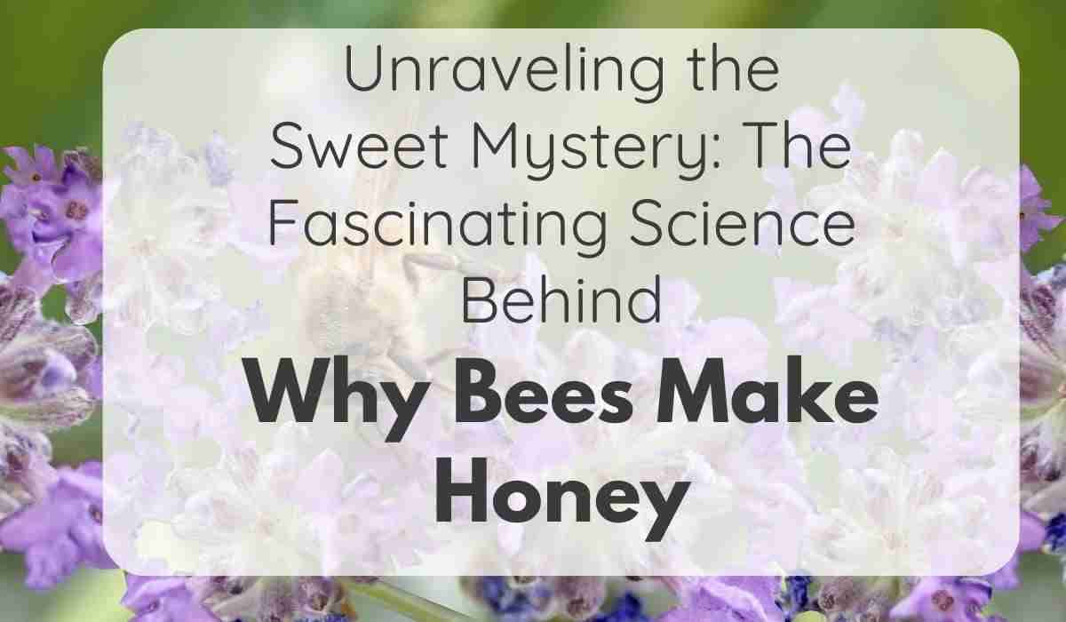 why bees make honey