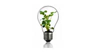 Energy efficient light Bulb